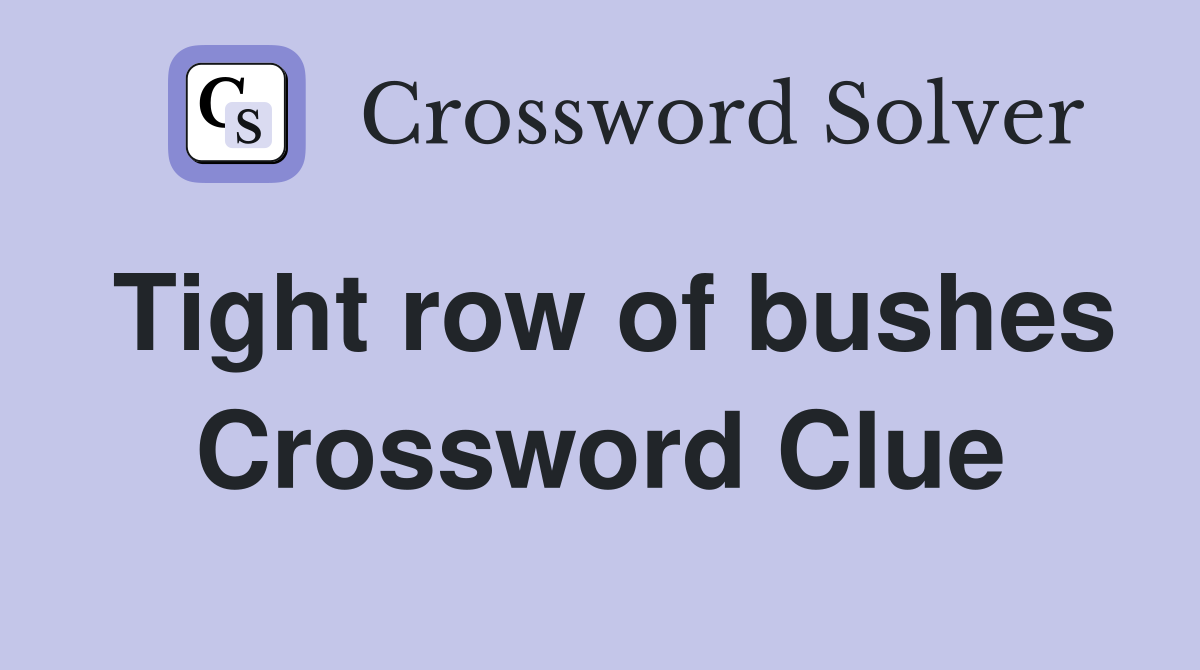 Tight row of bushes Crossword Clue