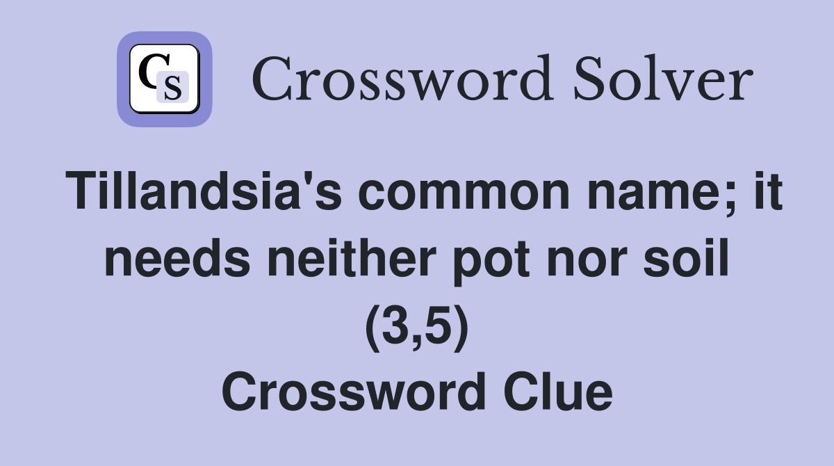 Tillandsia's common name; it needs neither pot nor soil (3,5) Crossword Clue