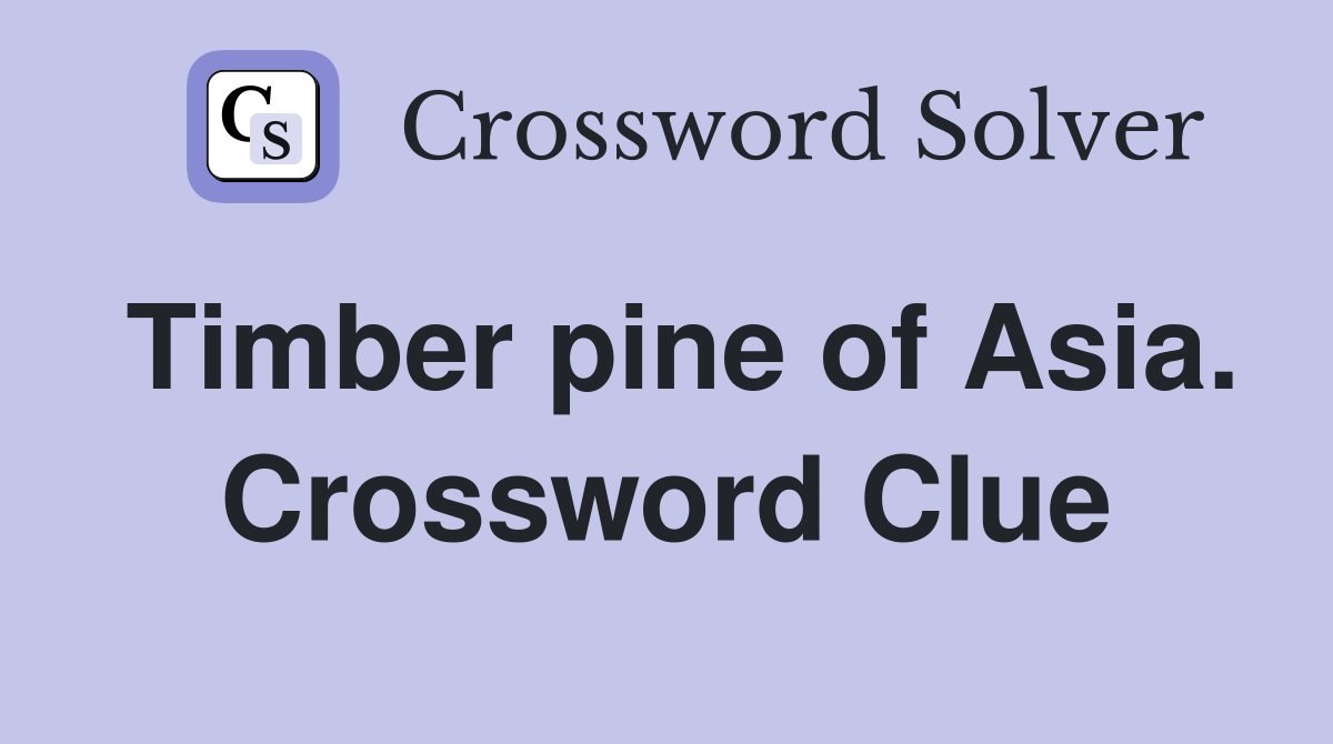 Timber pine of Asia. Crossword Clue