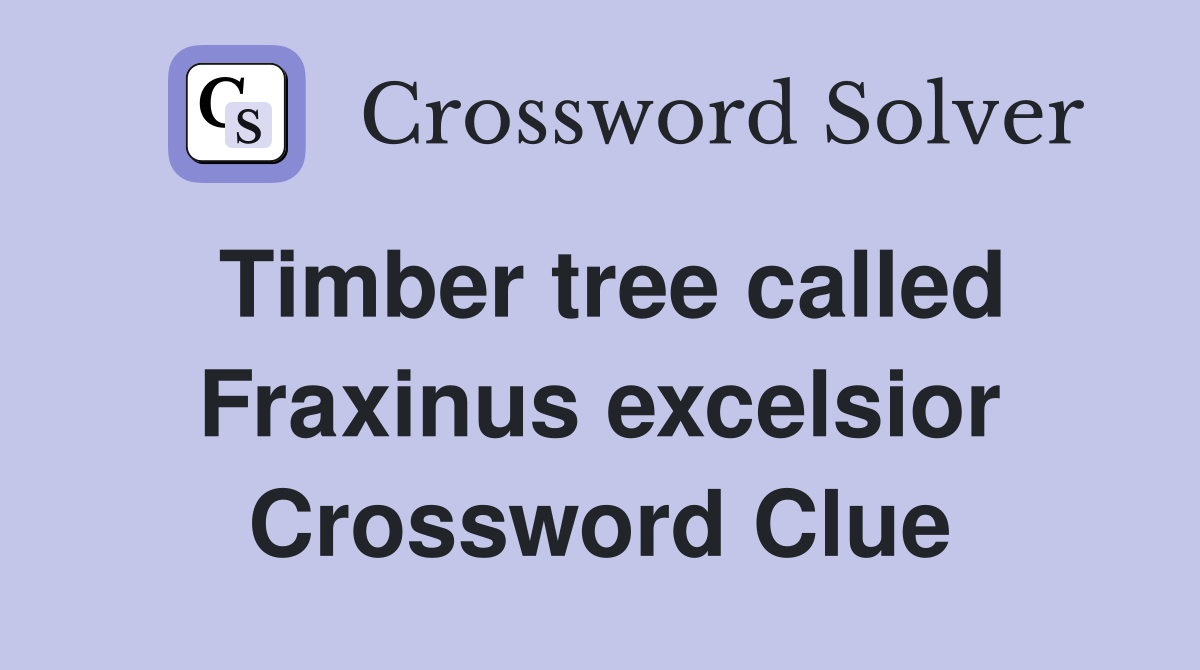 Timber tree called Fraxinus excelsior Crossword Clue