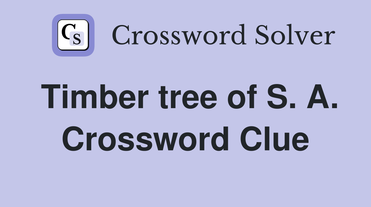 Timber tree of S. A. Crossword Clue