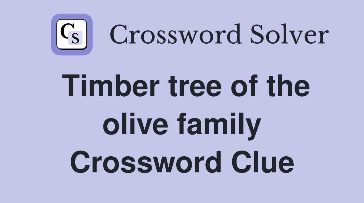 Timber tree of the olive family Crossword Clue