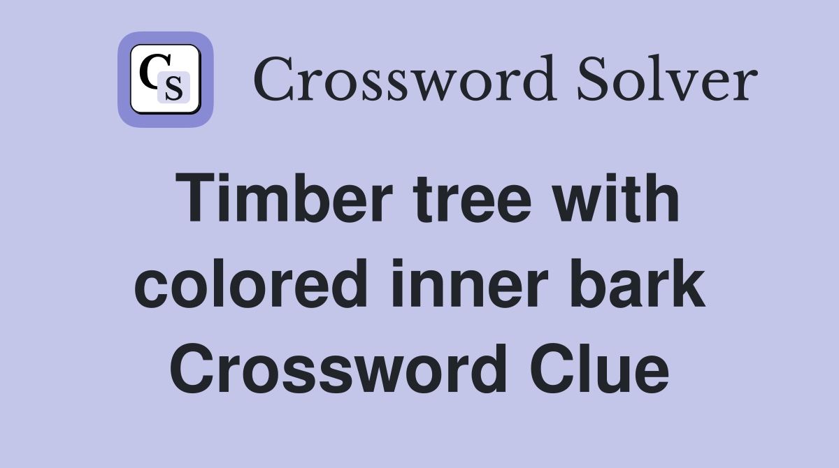 Timber tree with colored inner bark Crossword Clue