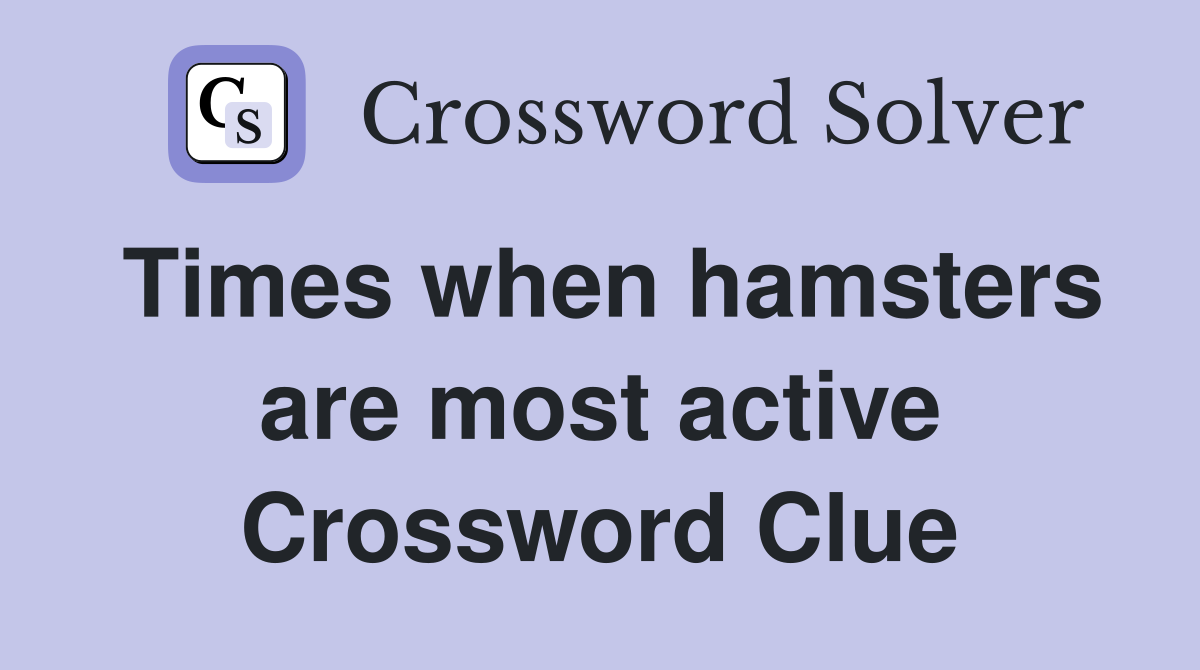 Times when hamsters are most active Crossword Clue