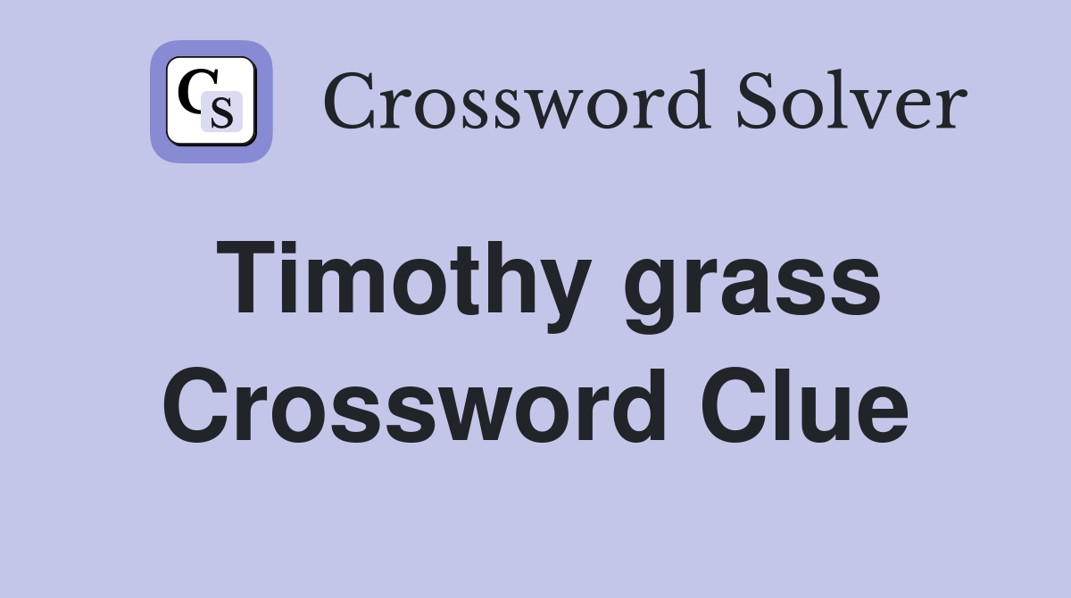 Timothy grass Crossword Clue