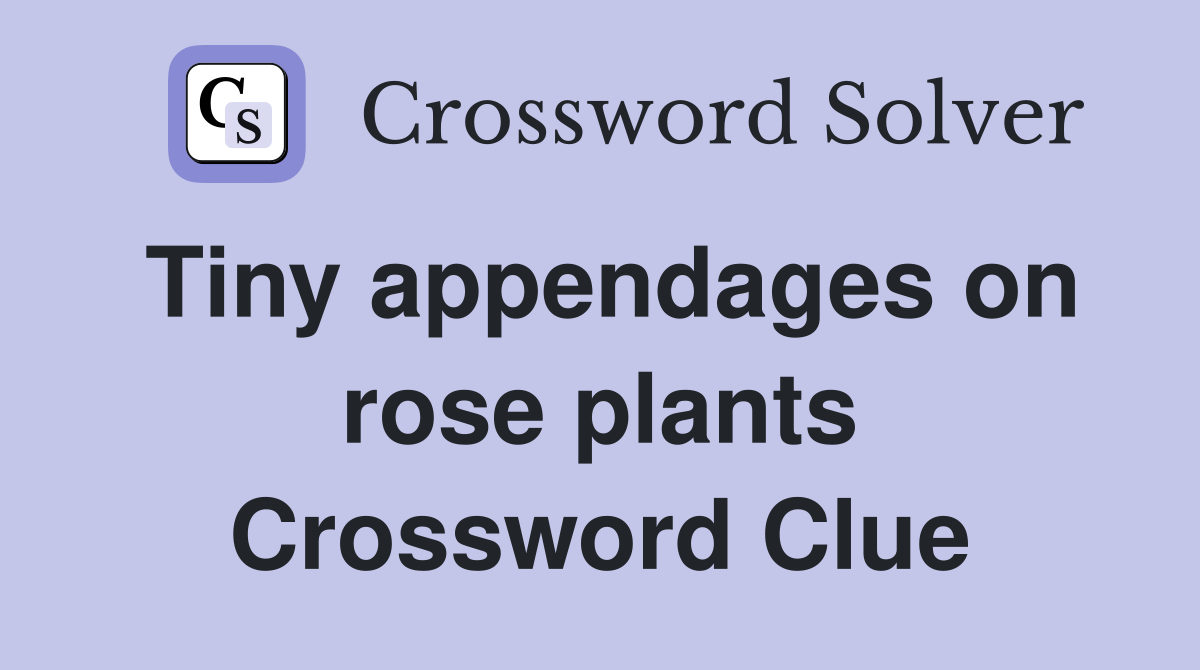 Tiny appendages on rose plants Crossword Clue