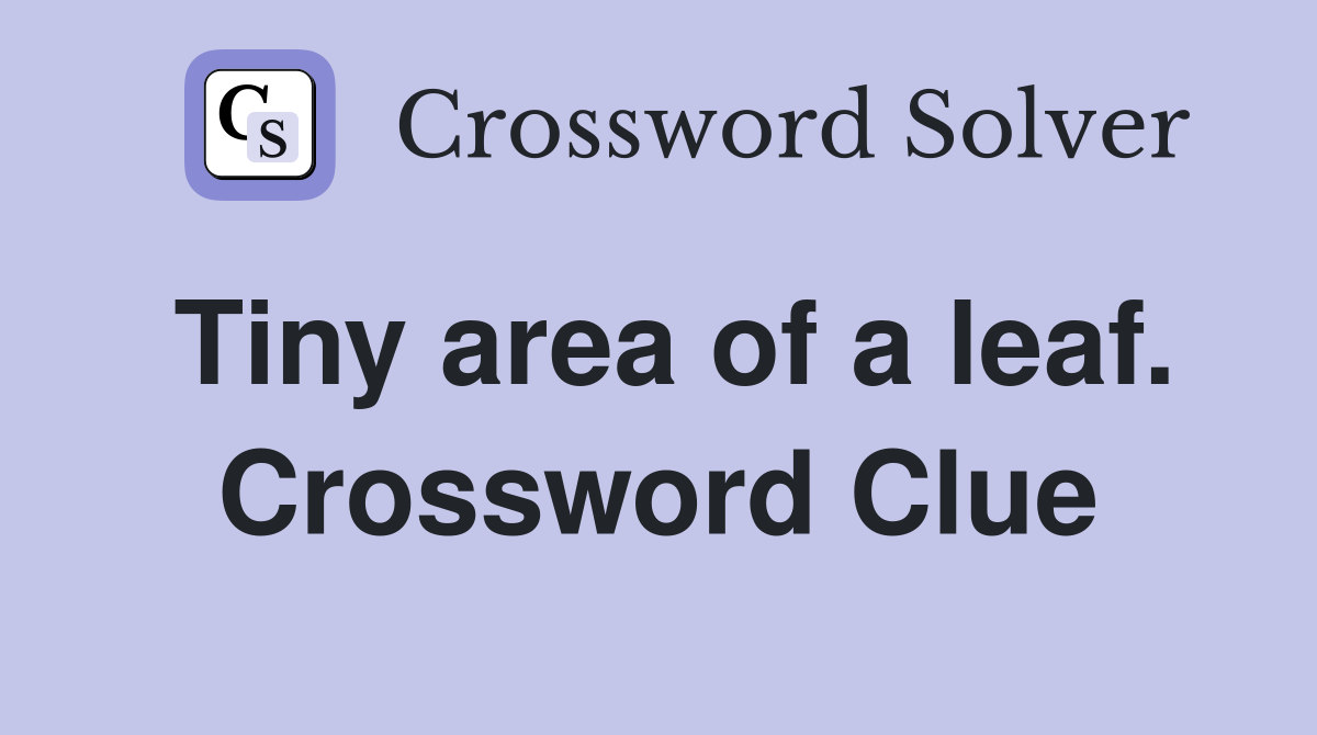Tiny area of a leaf. Crossword Clue