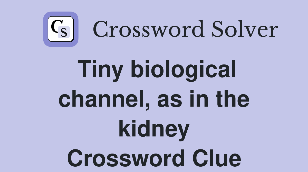 Tiny biological channel, as in the kidney Crossword Clue