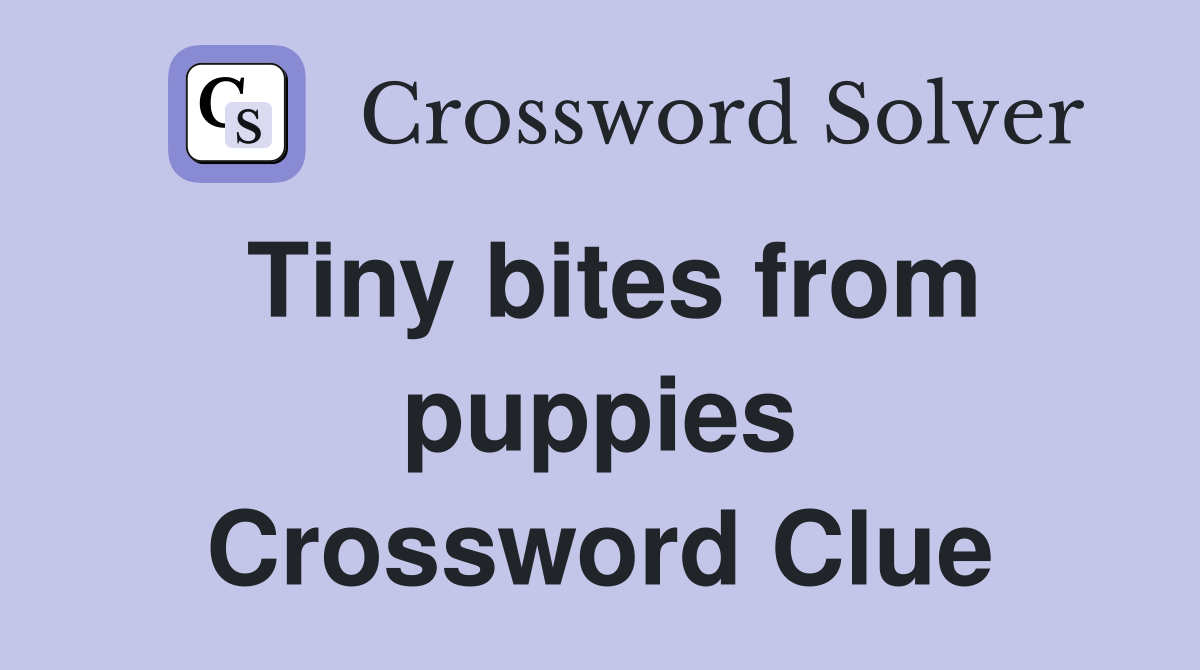 Tiny bites from puppies Crossword Clue