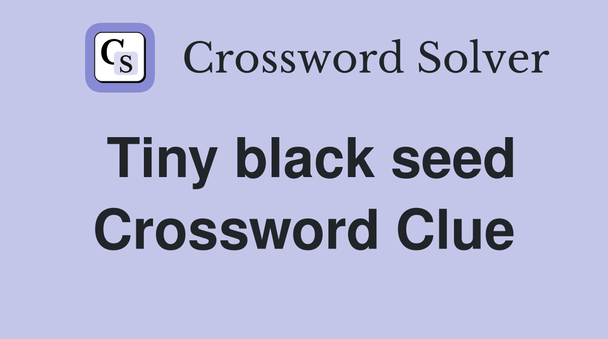 Tiny black seed Crossword Clue