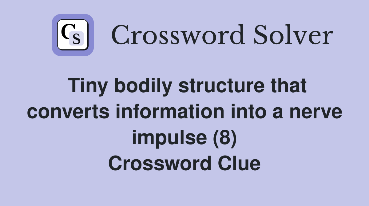 Tiny bodily structure that converts information into a nerve impulse (8) Crossword Clue