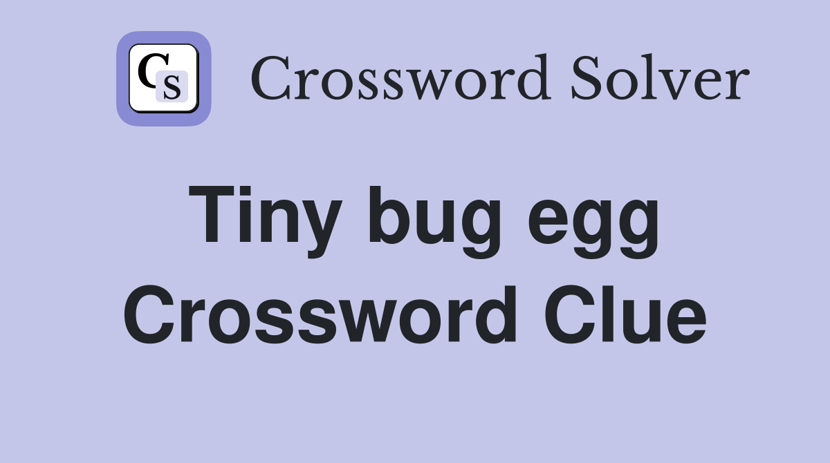 Tiny bug egg Crossword Clue