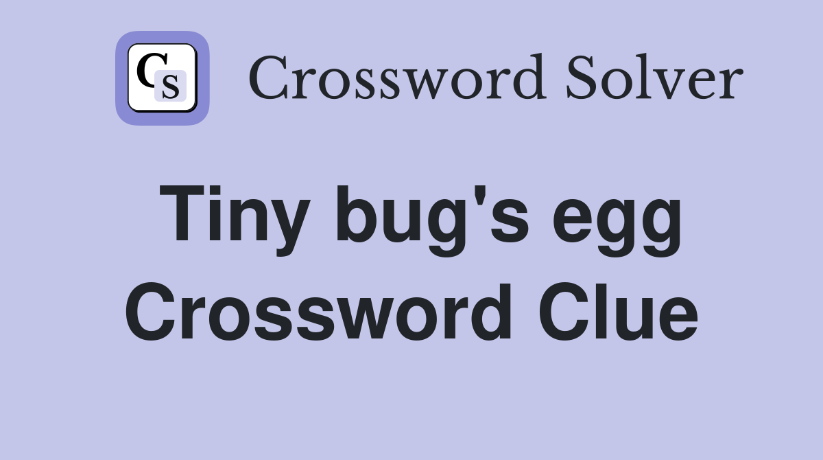 Tiny bug's egg Crossword Clue