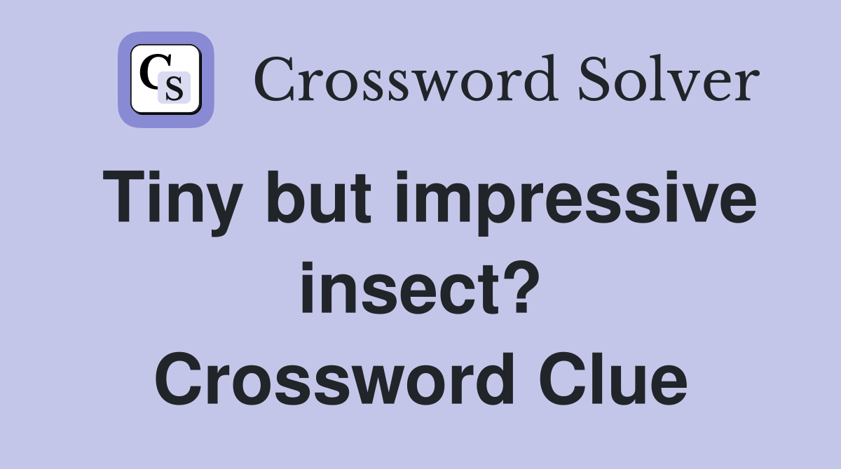 Tiny but impressive insect? Crossword Clue