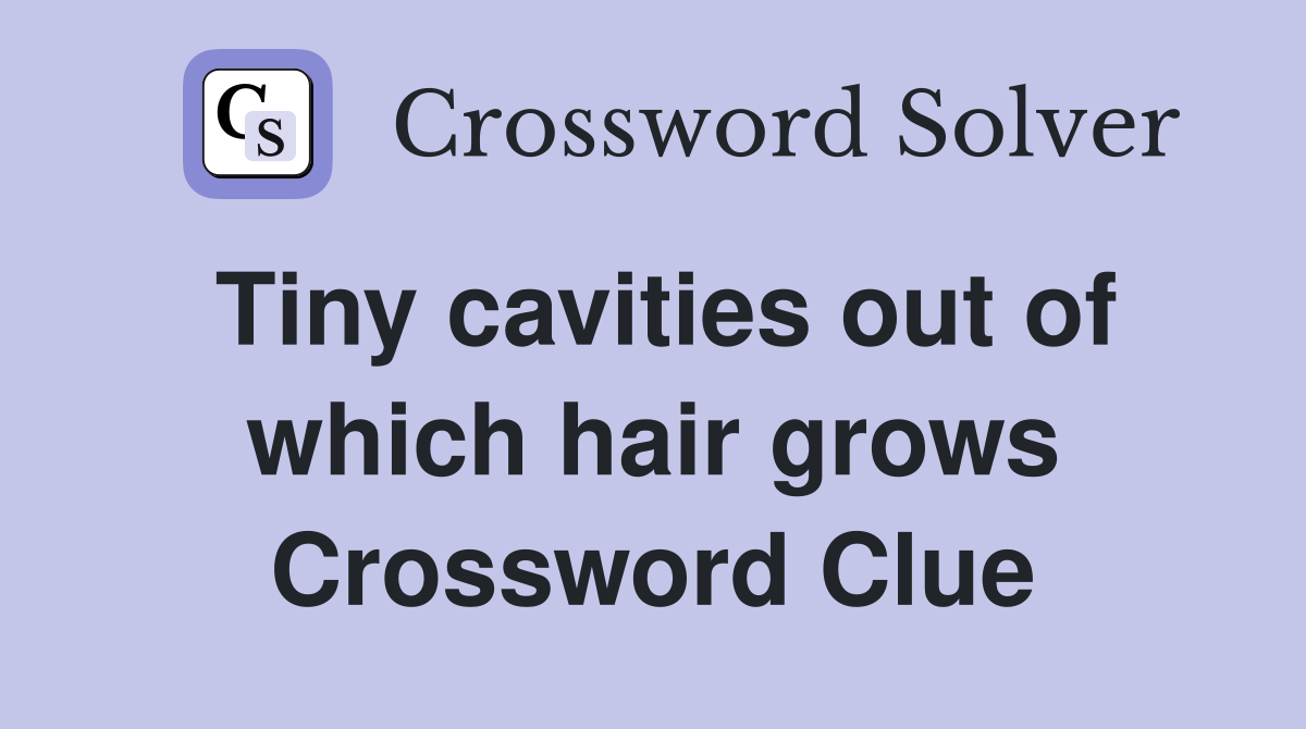 Tiny cavities out of which hair grows Crossword Clue