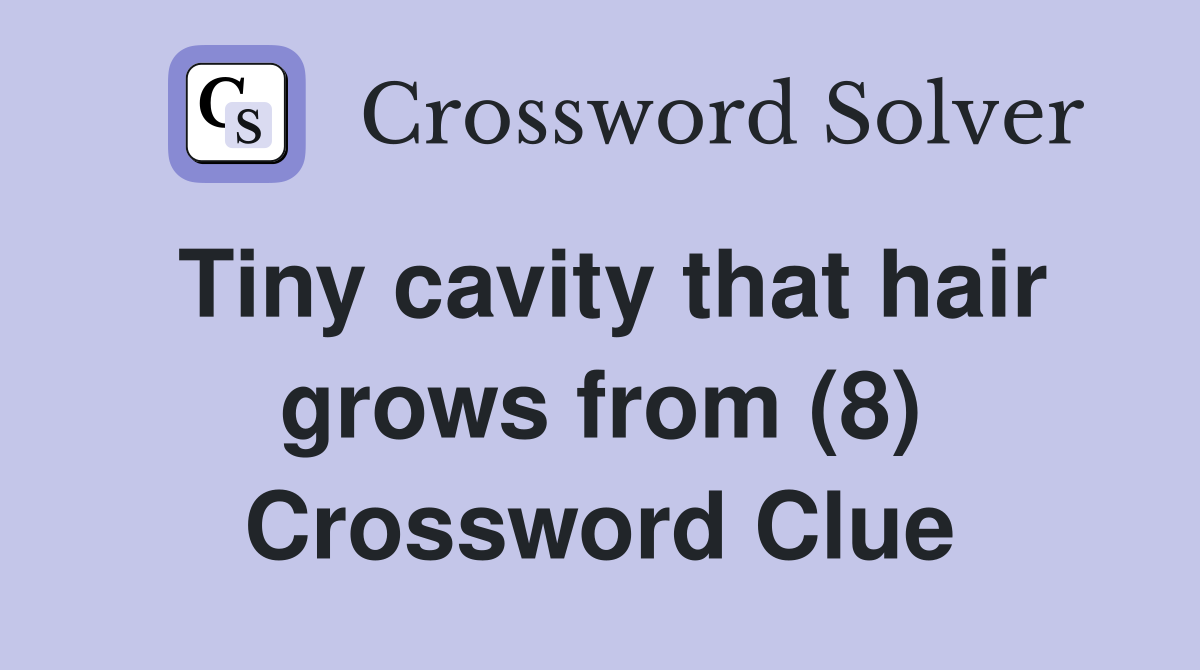Tiny cavity that hair grows from (8) Crossword Clue