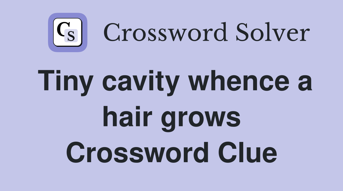 Tiny cavity whence a hair grows Crossword Clue