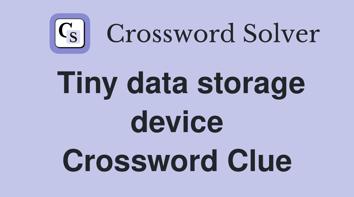 Tiny data storage device Crossword Clue
