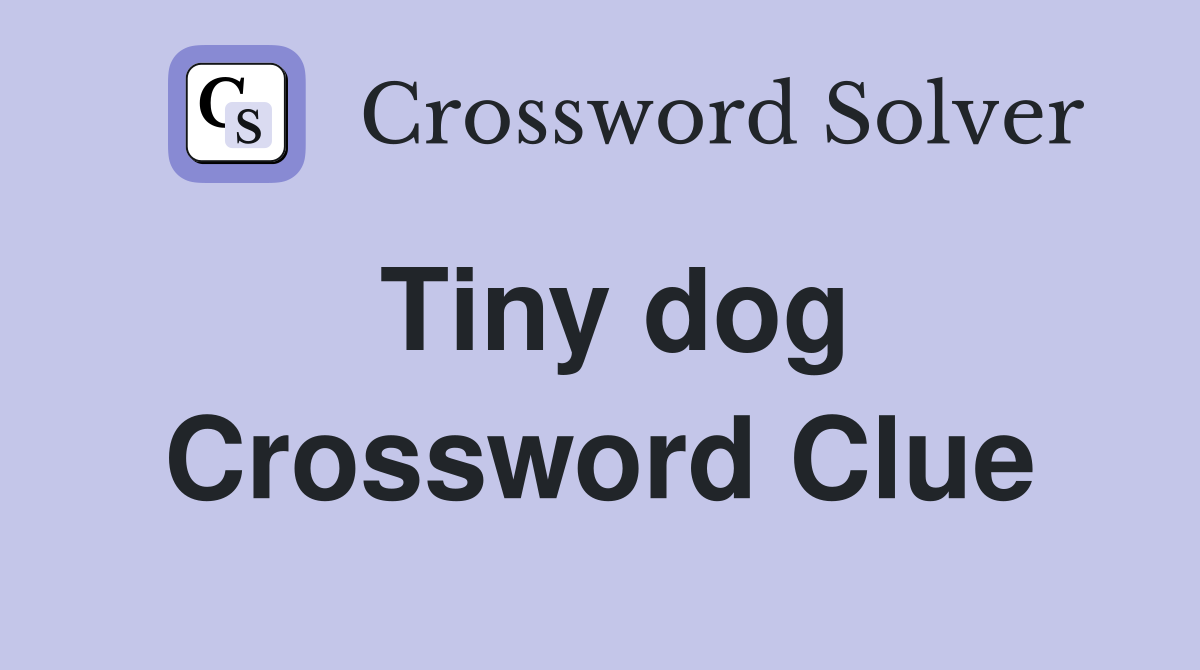 Tiny dog Crossword Clue