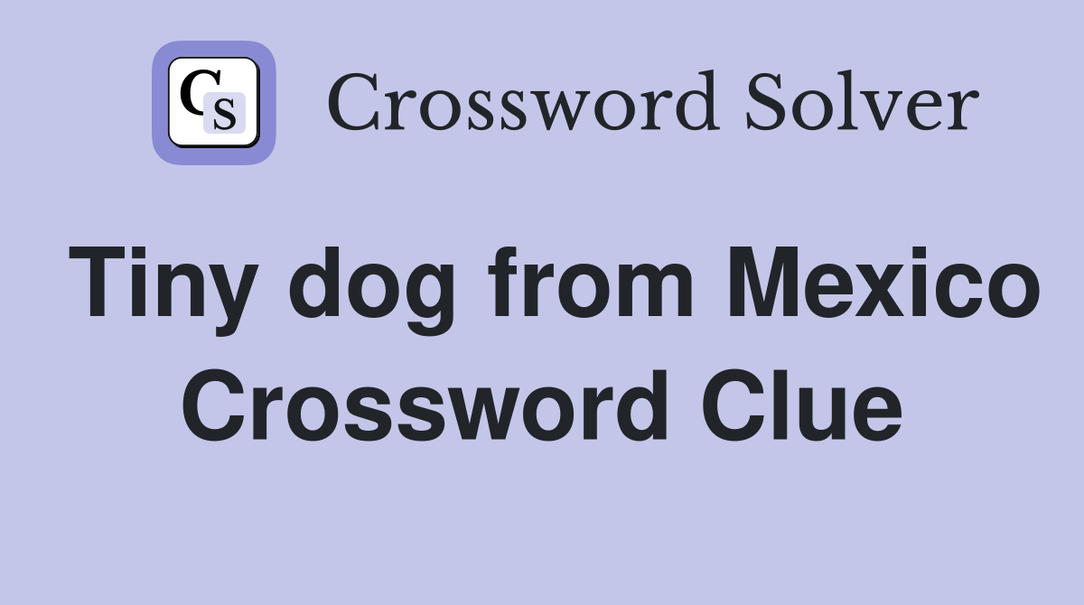 Tiny dog from Mexico Crossword Clue