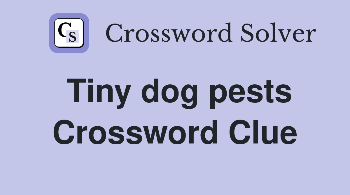 Tiny dog pests Crossword Clue