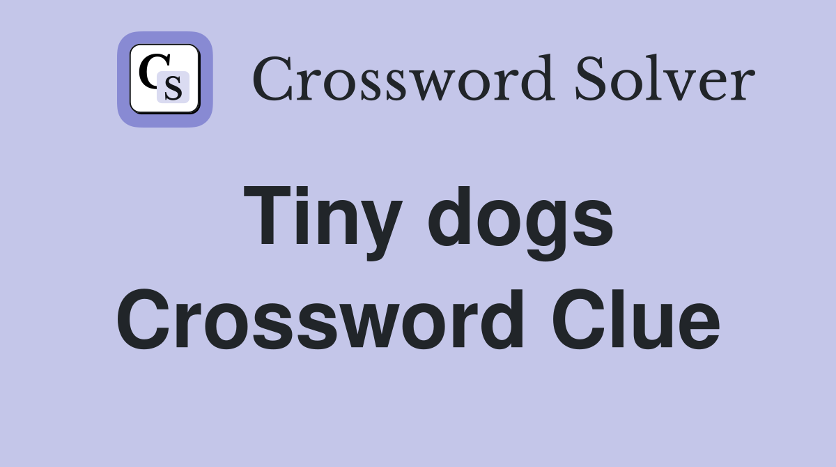 Tiny dogs Crossword Clue