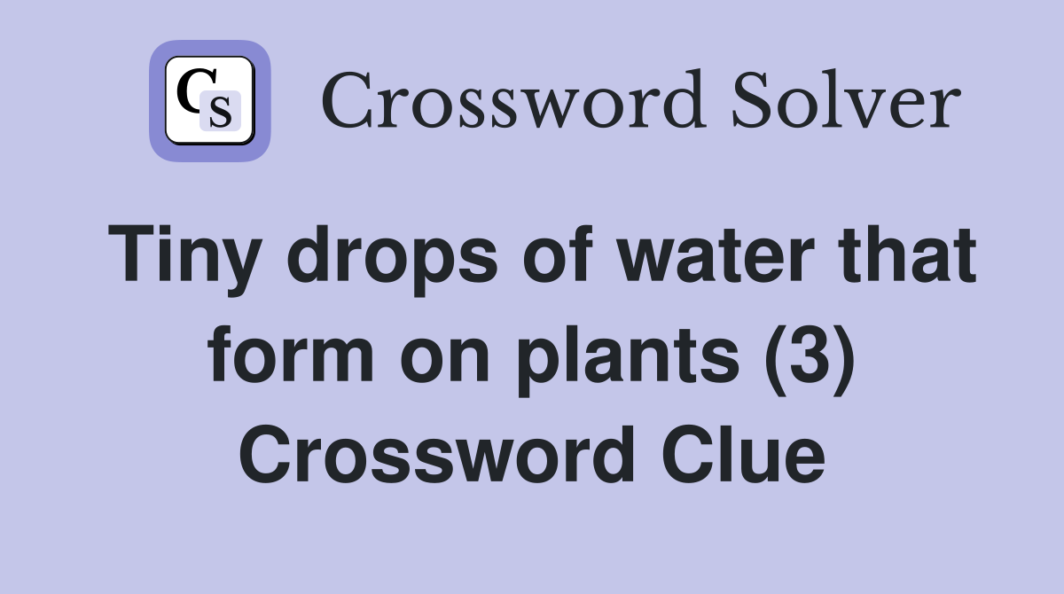 Tiny drops of water that form on plants (3) Crossword Clue