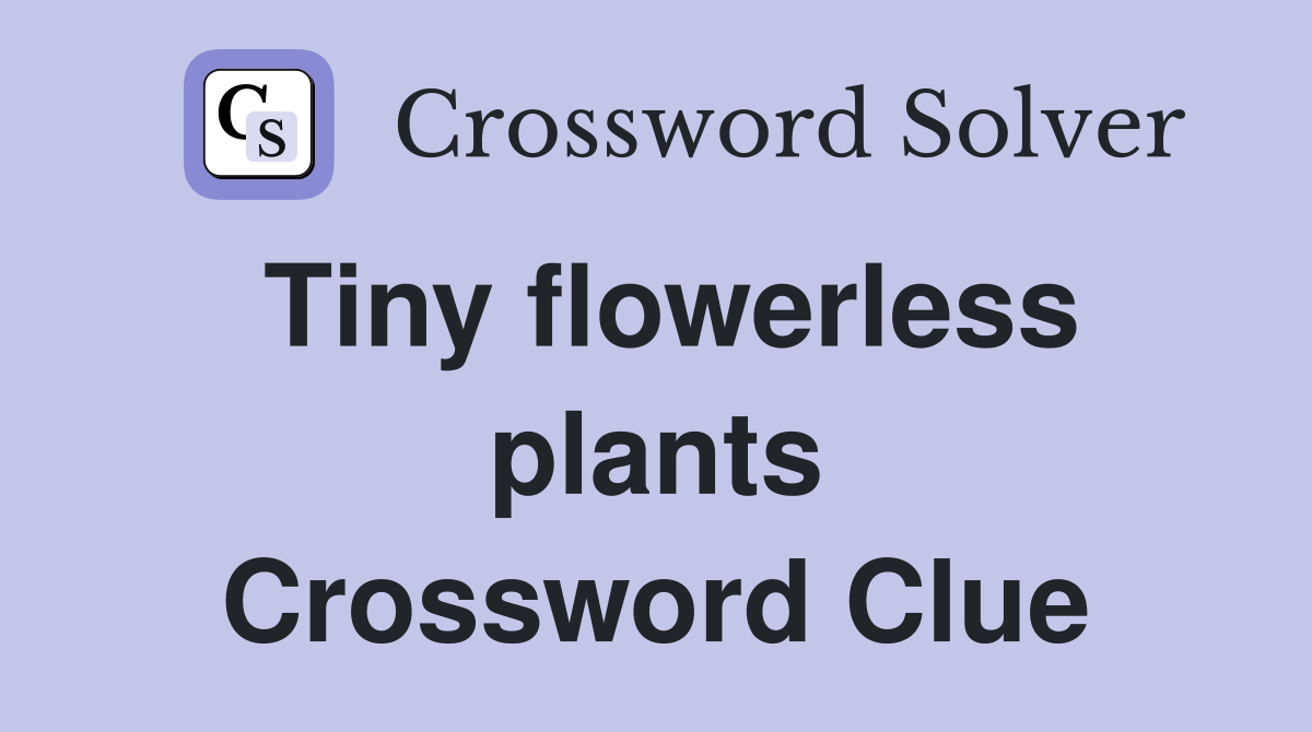 Tiny flowerless plants Crossword Clue