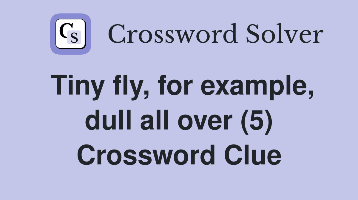 Tiny fly, for example, dull all over (5) Crossword Clue
