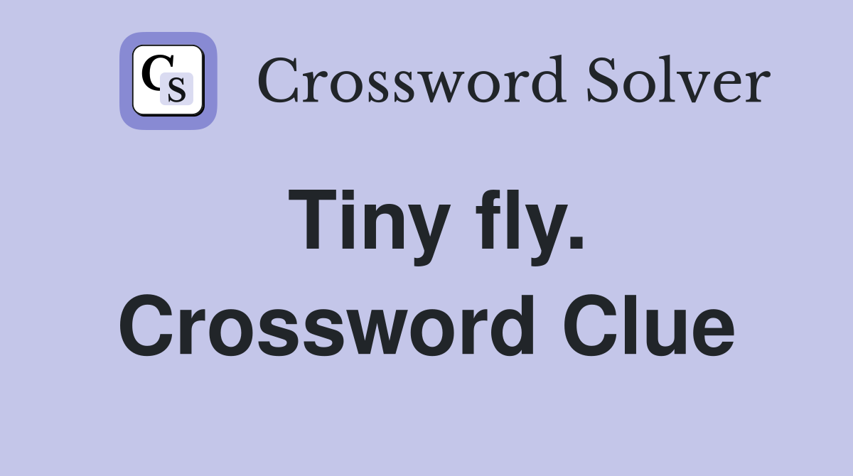 Tiny fly. Crossword Clue