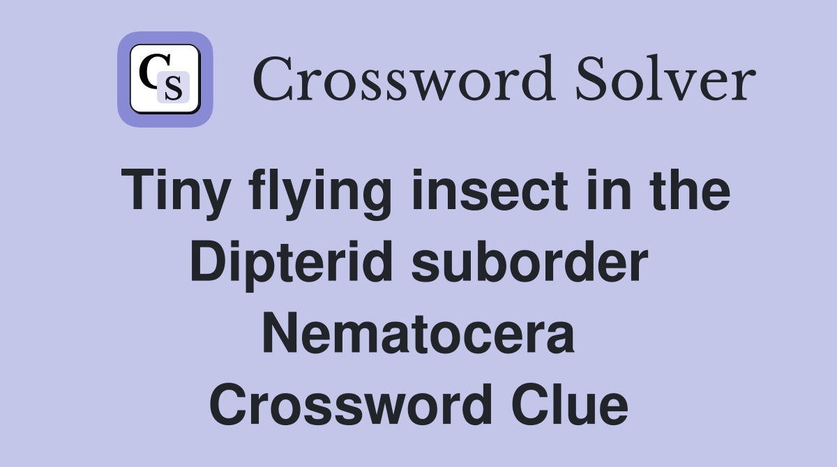 Tiny flying insect in the Dipterid suborder Nematocera Crossword Clue