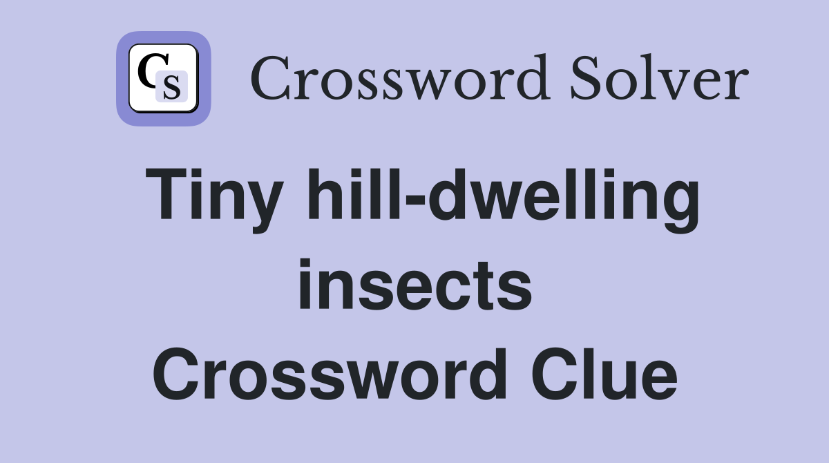 Tiny hill-dwelling insects Crossword Clue