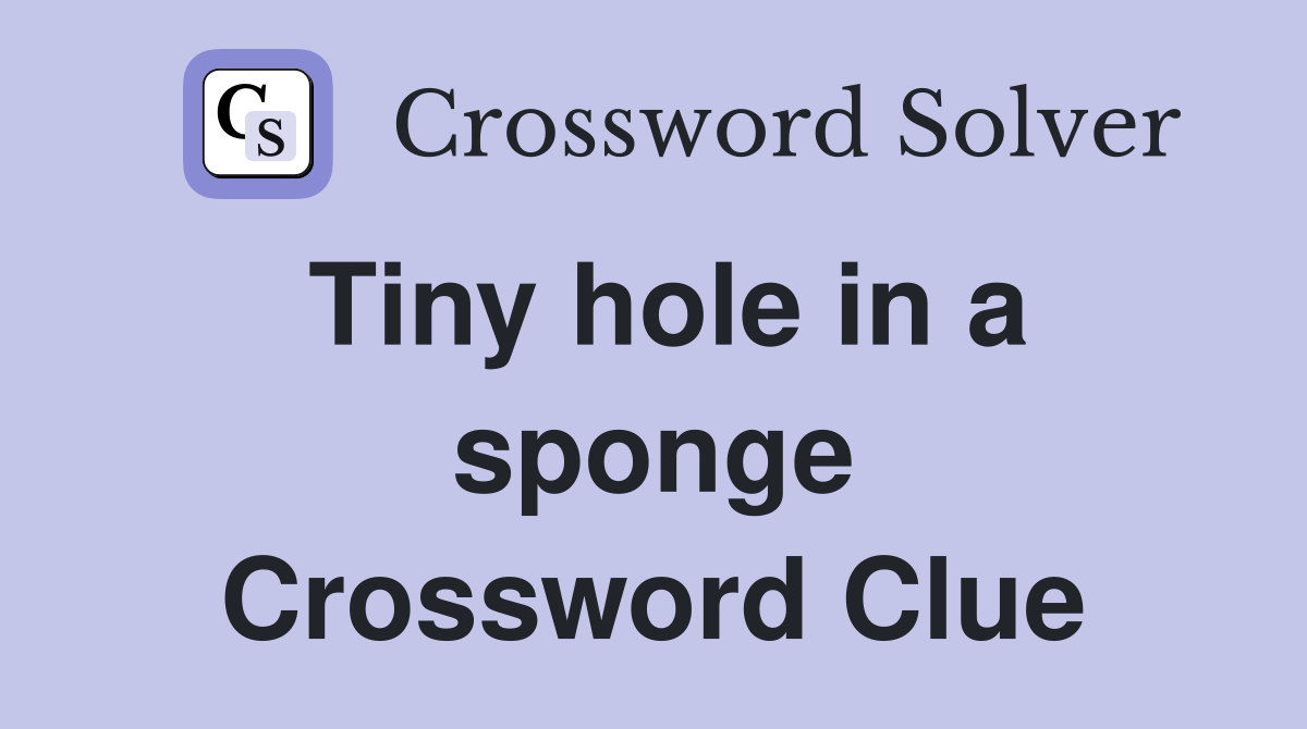 Tiny hole in a sponge Crossword Clue