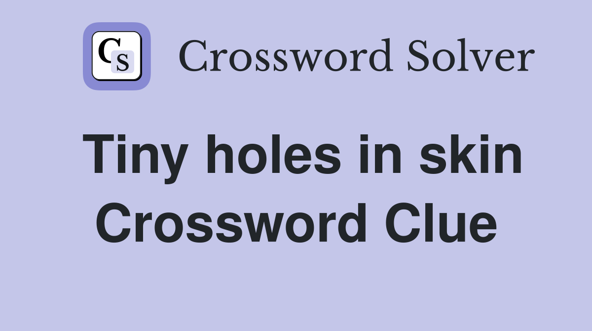 Tiny holes in skin Crossword Clue