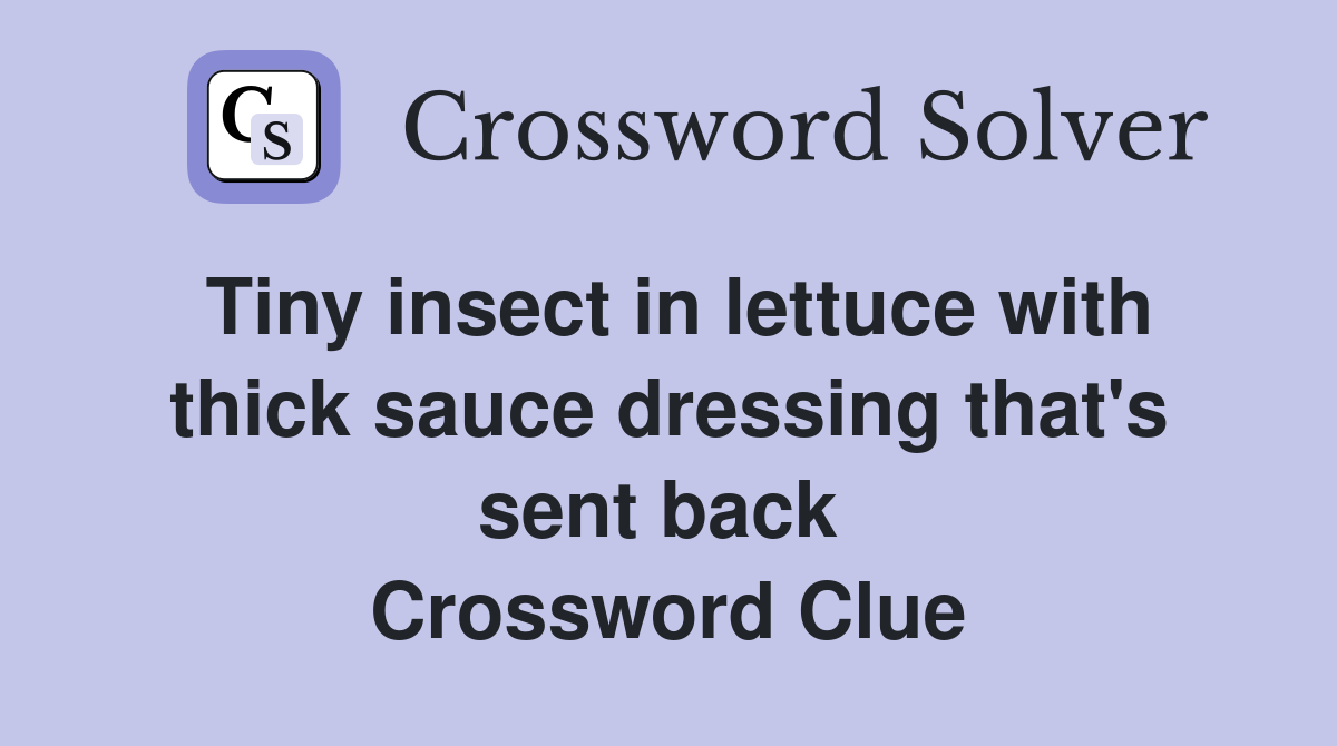 Tiny insect in lettuce with thick sauce dressing that's sent back  Crossword Clue