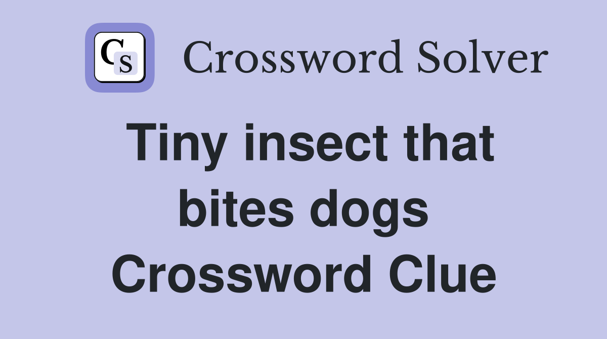 Tiny insect that bites dogs Crossword Clue