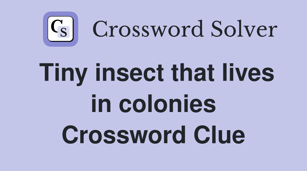 Tiny insect that lives in colonies Crossword Clue