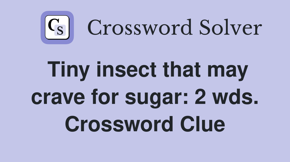 Tiny insect that may crave for sugar: 2 wds. Crossword Clue