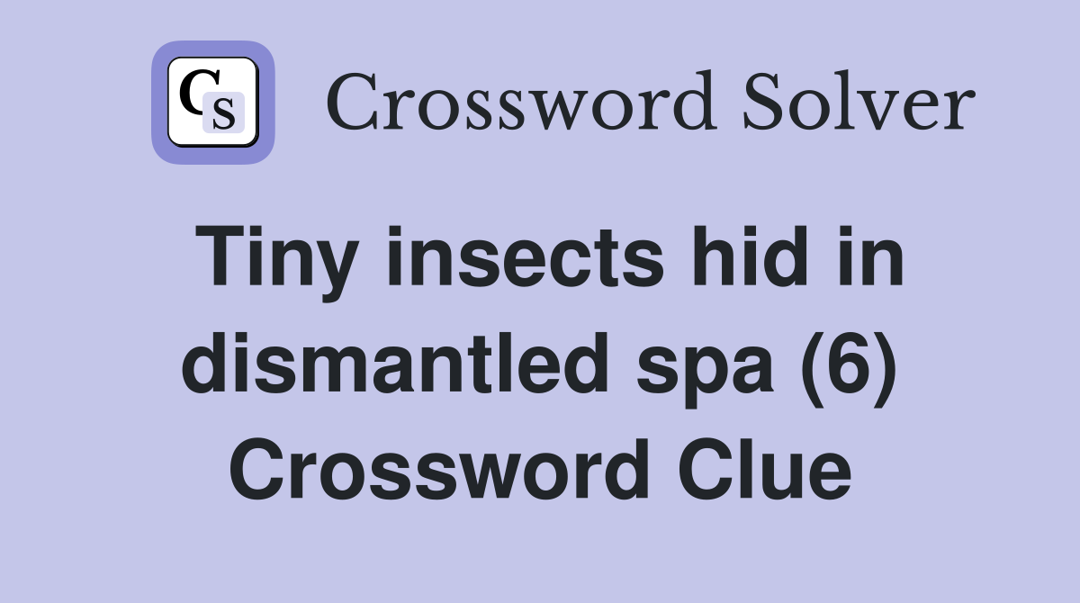 Tiny insects hid in dismantled spa (6) Crossword Clue