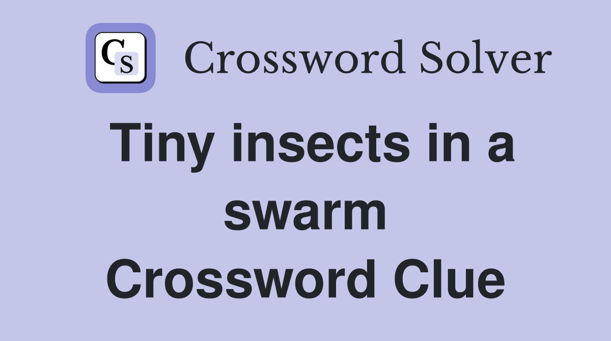 Tiny insects in a swarm Crossword Clue