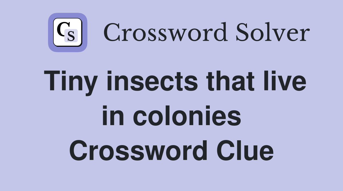 Tiny insects that live in colonies Crossword Clue