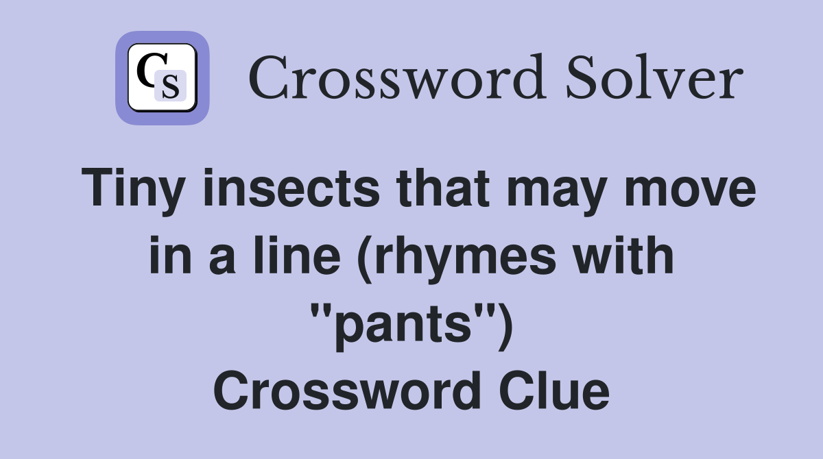 Tiny insects that may move in a line (rhymes with "pants") Crossword Clue