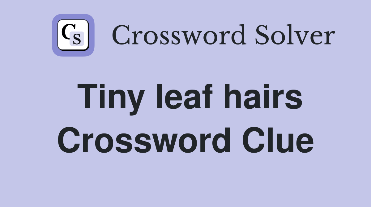 Tiny leaf hairs Crossword Clue