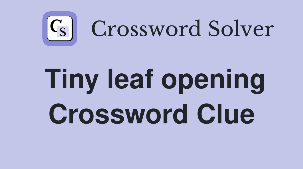 Tiny leaf opening Crossword Clue