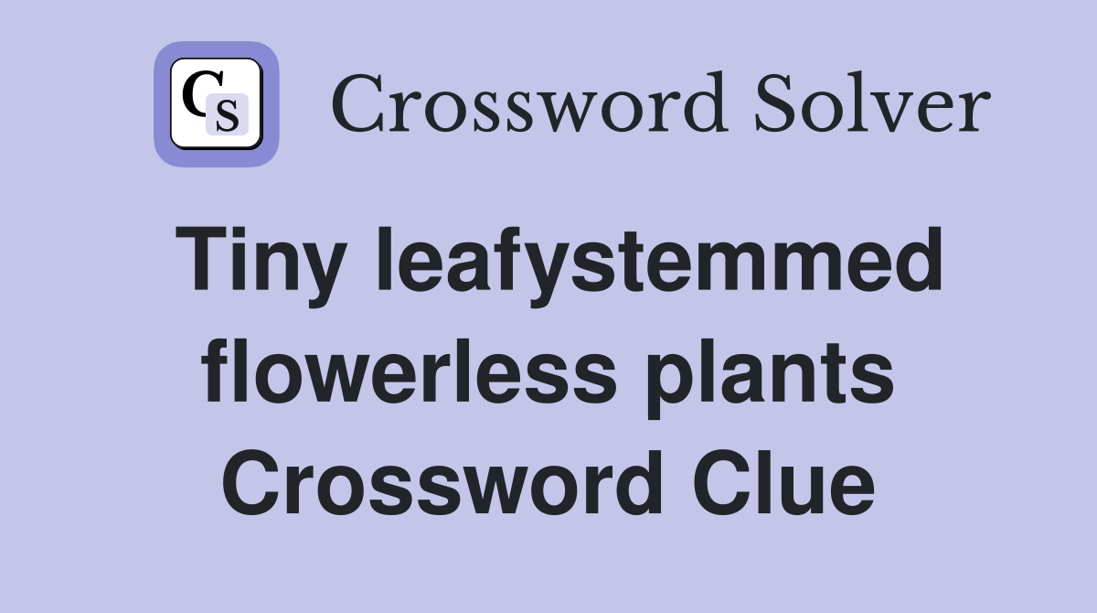 Tiny leafystemmed flowerless plants Crossword Clue