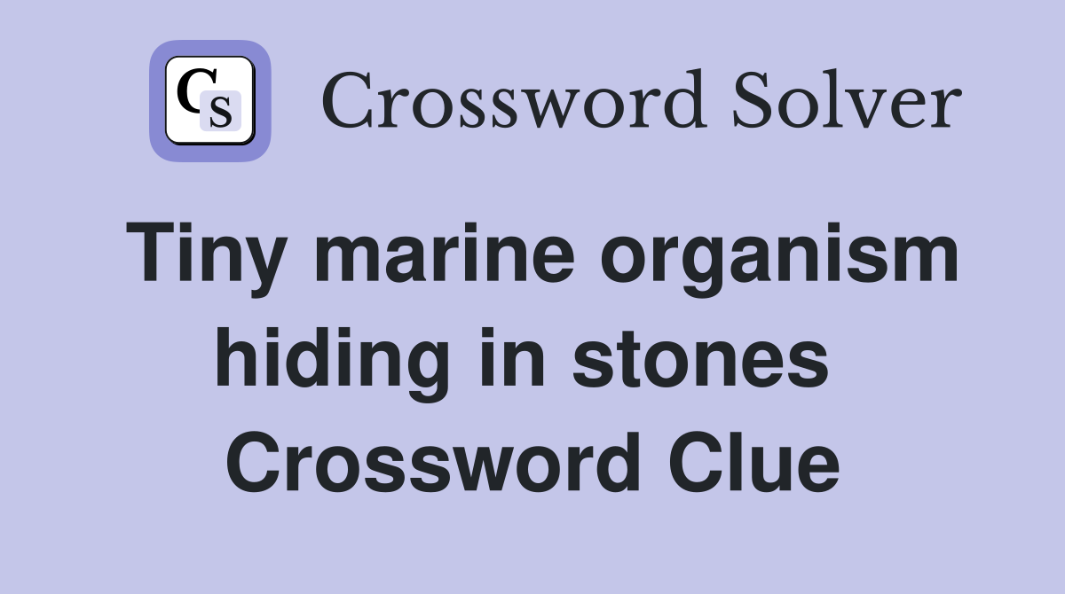 Tiny marine organism hiding in stones  Crossword Clue