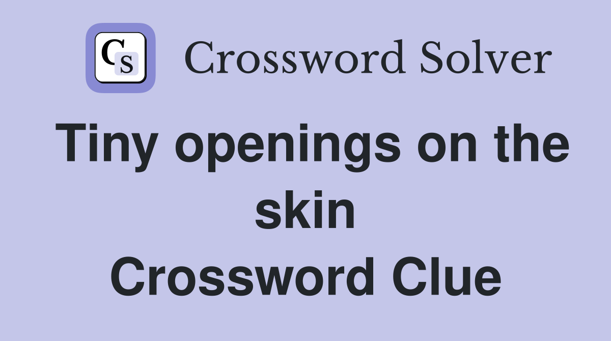 Tiny openings on the skin Crossword Clue