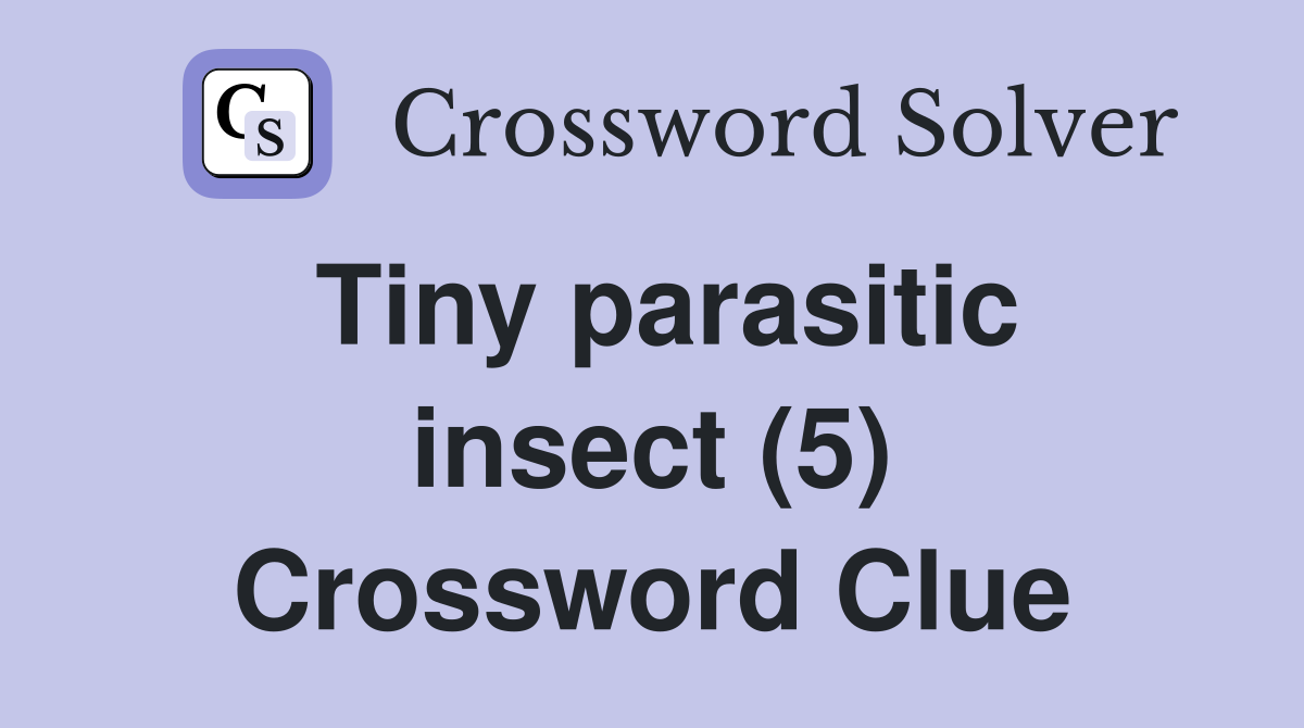 Tiny parasitic insect (5) Crossword Clue