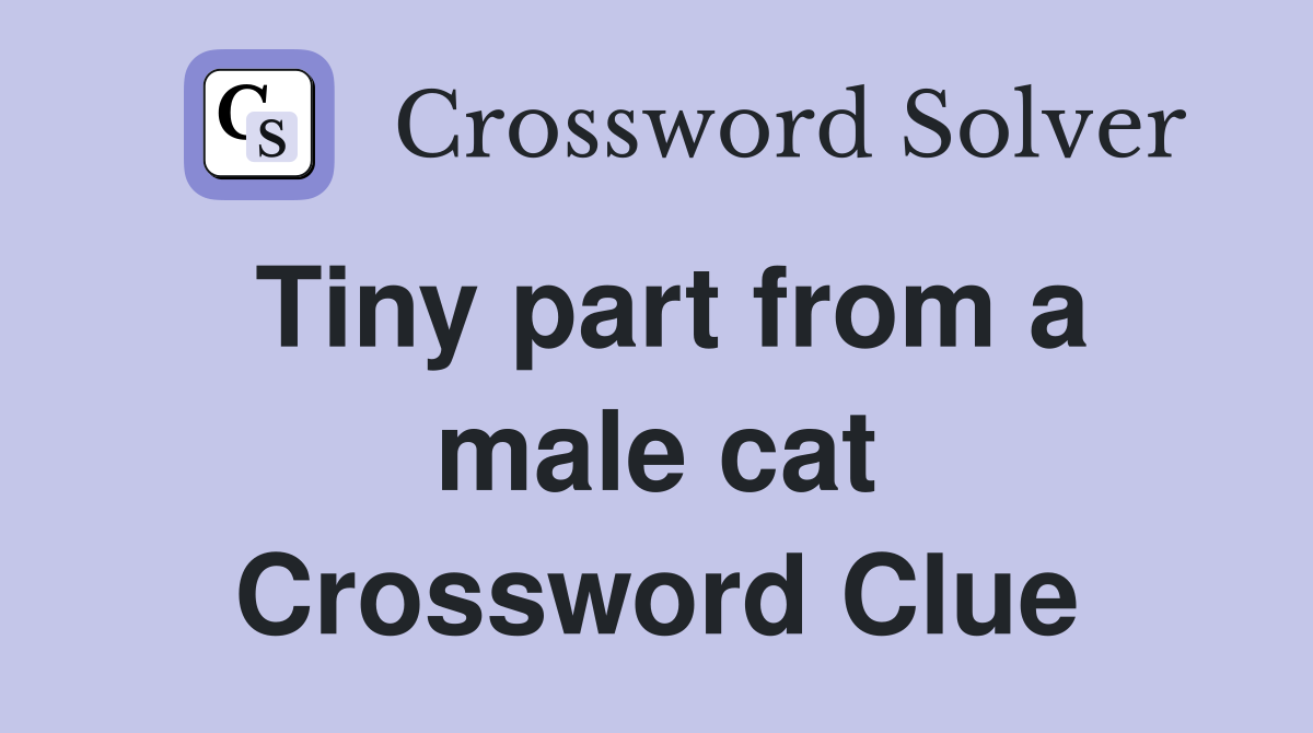 Tiny part from a male cat Crossword Clue