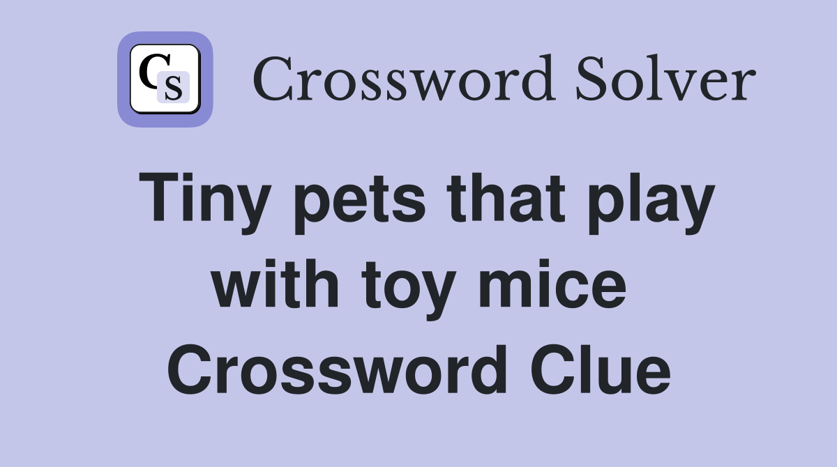 Tiny pets that play with toy mice Crossword Clue